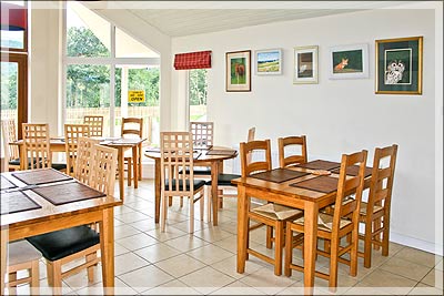 Group Dining area
